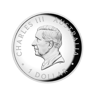 2025 Australian Kangaroo 1oz Silver Proof High Relief Coloured Coin