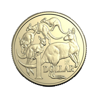 2025 Sydney Money Expo ANDA $1 Sydney Map Privy Coin