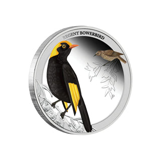 2013 Birds of Australia - Regent Bowerbird 1/2oz Silver Proof
