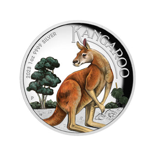 Australian Kangaroo 2023 1oz Silver Proof High Relief Coloured Coin