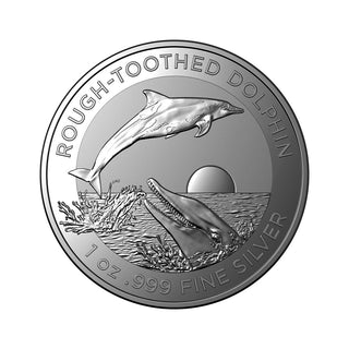 Rough–Toothed Dolphin - Australian Dolphin 2023 1oz Silver Bullion