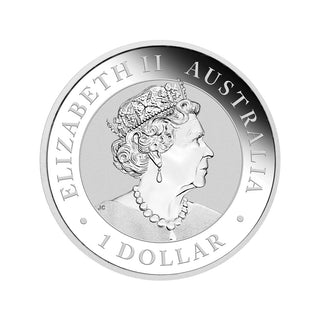 2021 Brisbane Money Expo ANDA Special Australian Koala 2021 1oz Silver