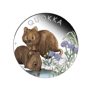 2023 Quokka 1oz Silver Coloured Proof Coin