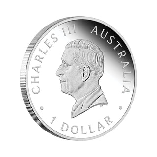 Australian Kangaroo King Charles III Obverse First Issue 2024 1oz Silver Proof Coin