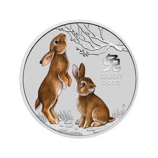 2023 Year Of The Rabbit 1/4oz Silver Coloured Coin