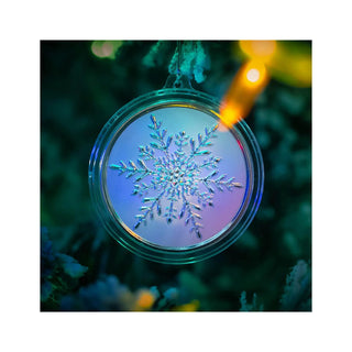 Scottsdale Mint Silver 1oz Snowflake Round