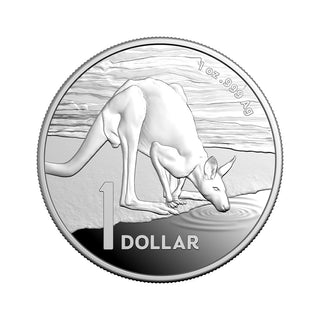 Kangaroo Series 2024 $1 1oz Fine Silver Proof Coin