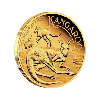 2025 Australian Kangaroo 1/10oz Gold Proof Coin