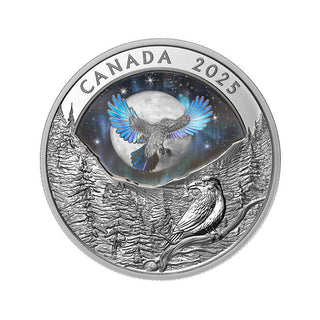 2025 $20 Fine Silver Coin - Moon Sky: Raven