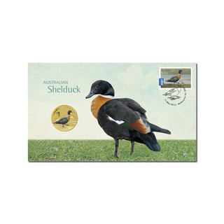 2013 Australian Shelduck PNC