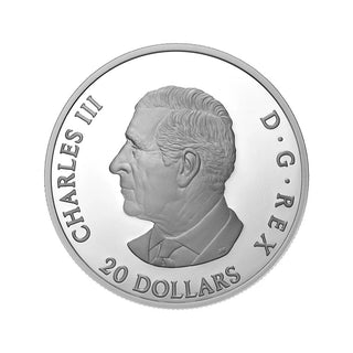 2025 $20 Fine Silver Coin - Moon Sky: Raven