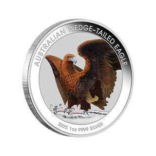2025 Australian Wedge-tailed Eagle 1oz Silver Coloured Coin in Card