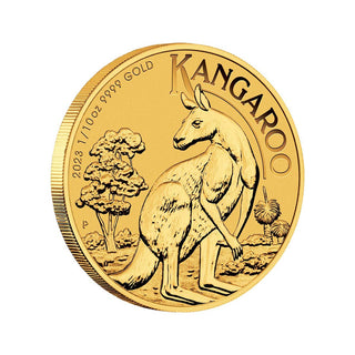 Australian Kangaroo 2023 1/10oz Gold Bullion Coin