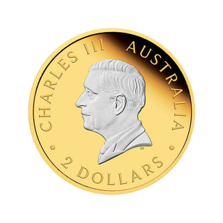 Australian Kangaroo 2024 2oz Silver Reverse Gilded Coin