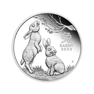 2023 Year Of The Rabbit 1oz Silver Proof