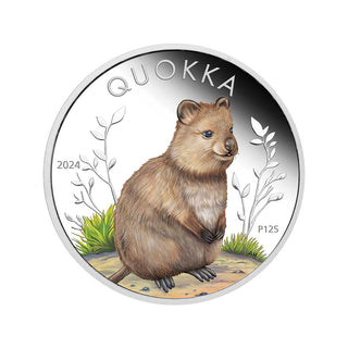 2024 Quokka 1oz Silver Coloured Proof Coin