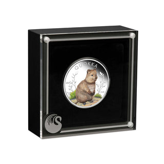 2024 Quokka 1oz Silver Coloured Proof Coin